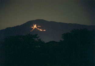 image.gif