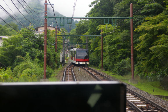 image.gif